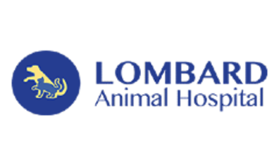Lombard Animal Hospital-HeaderLogo
